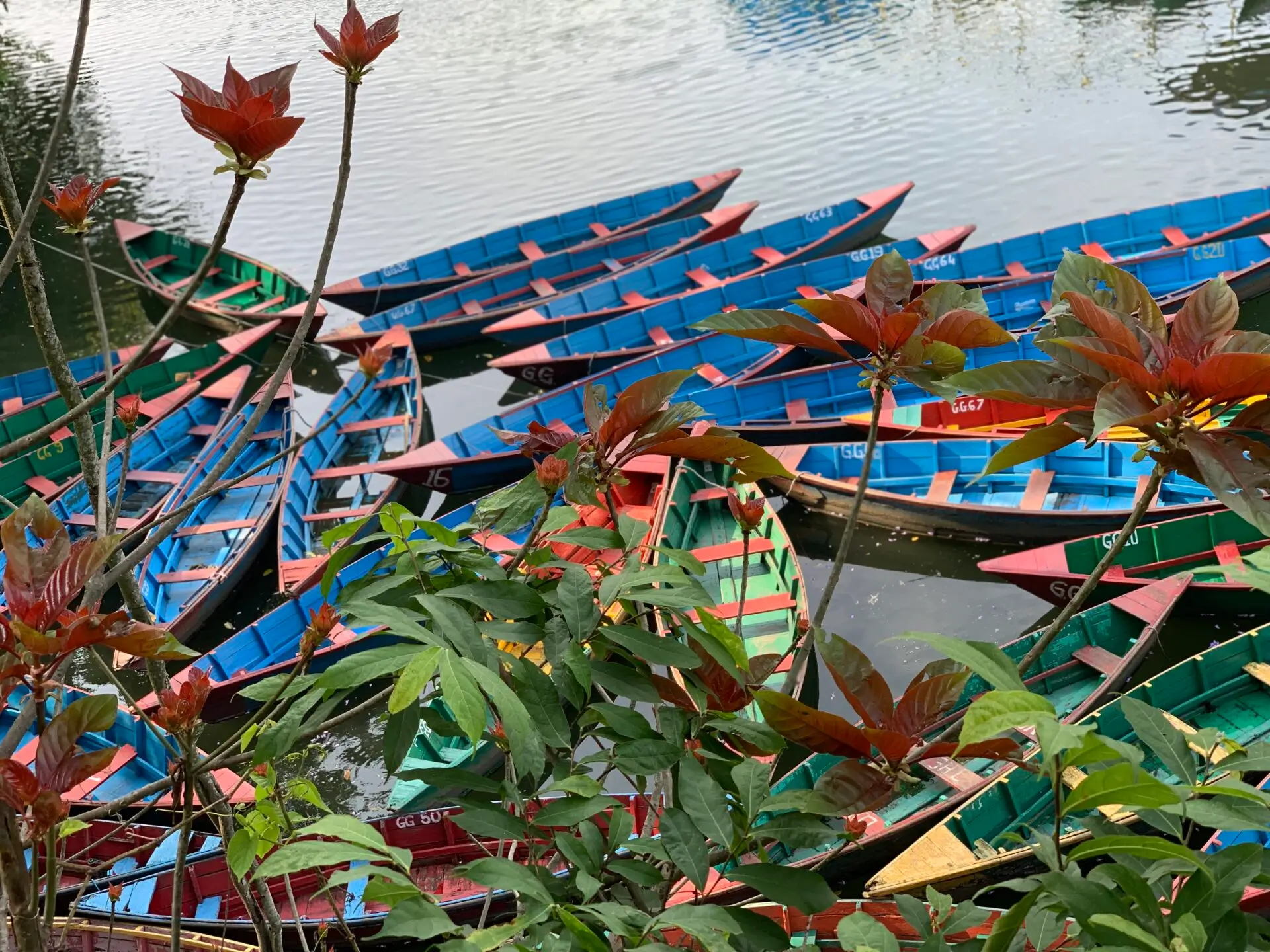 boats-nepal-scaled (1)